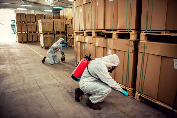 Best Local Pest Control Services  in Lowry Crossing, TX