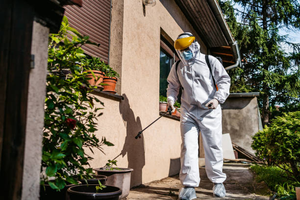 Best Rodent Control Near Me  in Lowry Crossing, TX