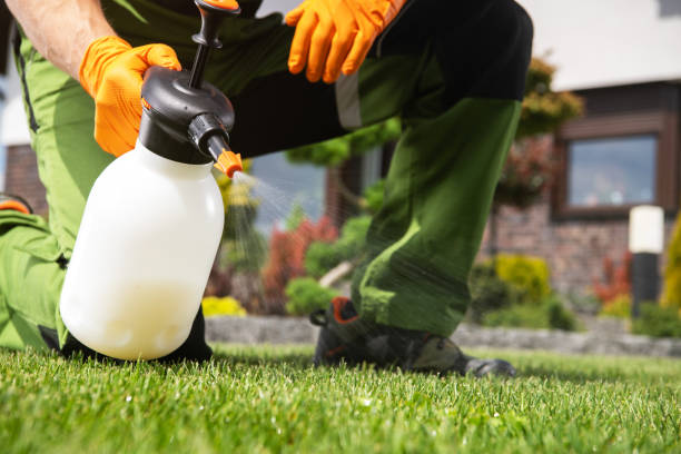 Best Pest Inspection Near Me  in Lowry Crossing, TX