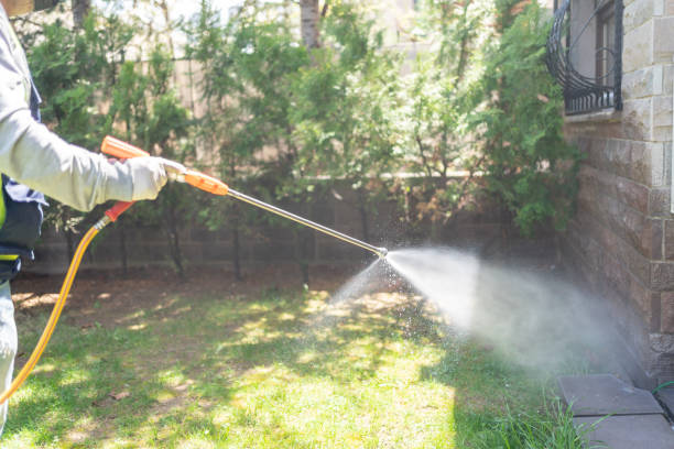 Best Wasp Removal Services  in Lowry Crossing, TX