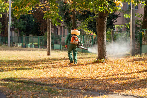 Best Termite Control Services  in Lowry Crossing, TX